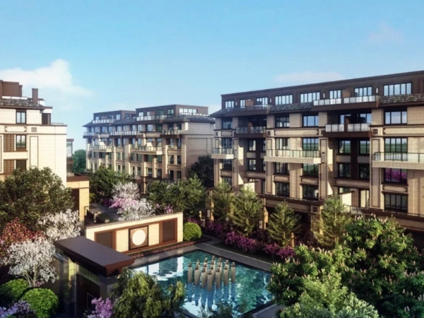 淄博桃花原著項目